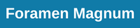 Foramen Magnum hover