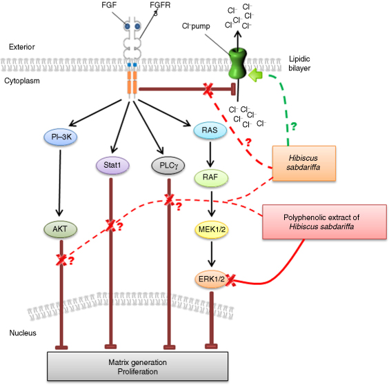 doi:10.3402/fnr.v59.29311
